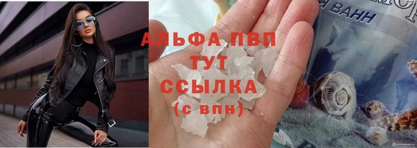 скорость Кинешма