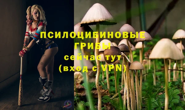 скорость Кинешма