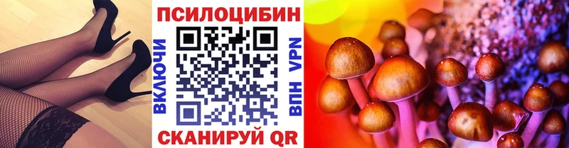 Купить  Туран  Галлюциногенные грибы Cubensis 