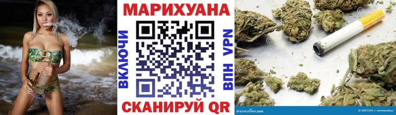 Марихуана план  Купить закладки  Туран 
